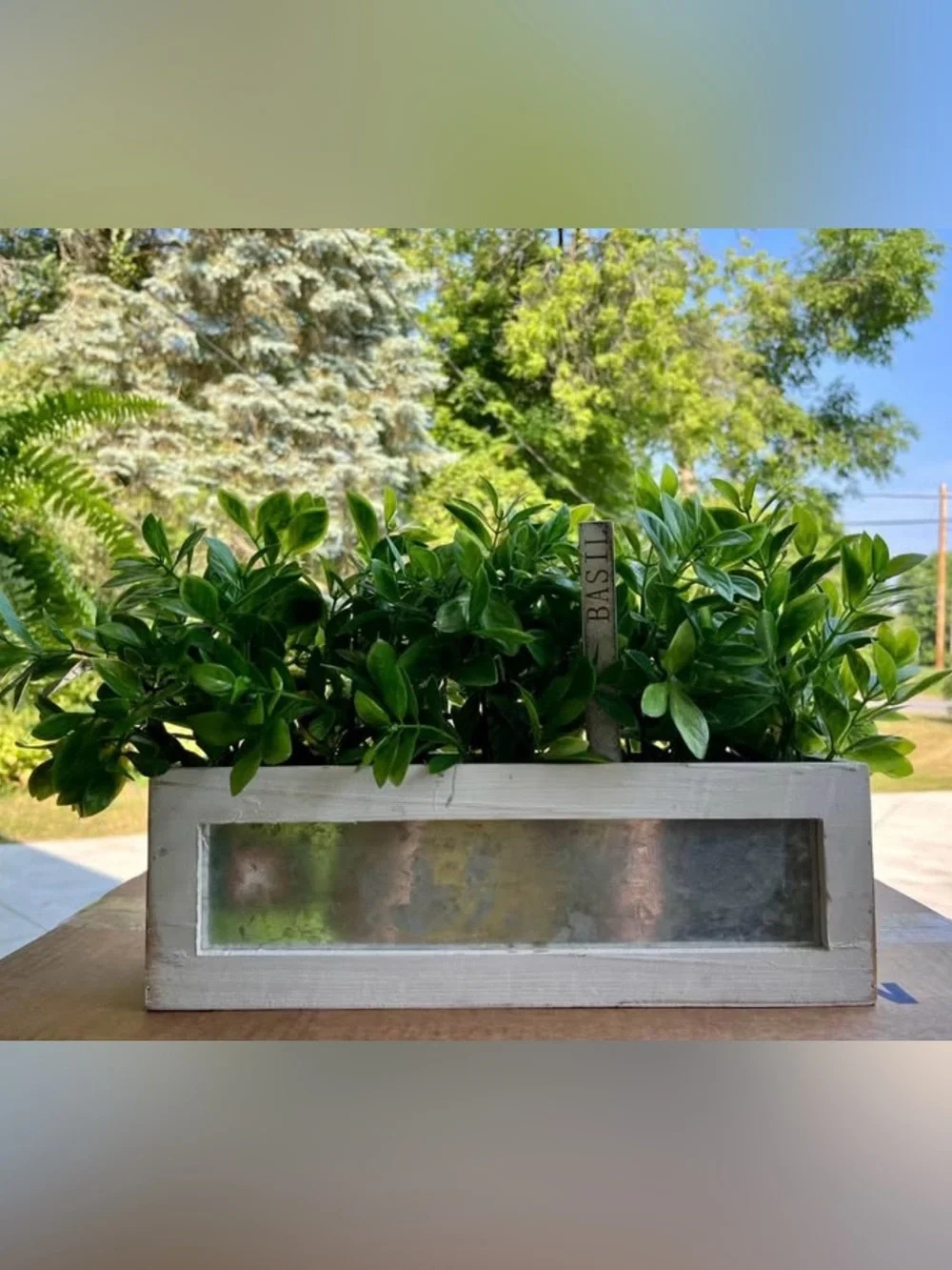 ARTIFICIAL BASIL PLANT IN WOOD AND ALUMINUM PLANTER WITH BASIL STAKE